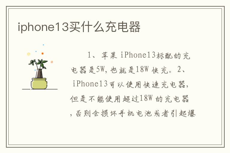 iphone13买什么充电器